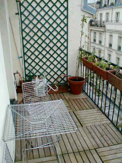 Paris apartment has a cable tv, and a pretty balcony