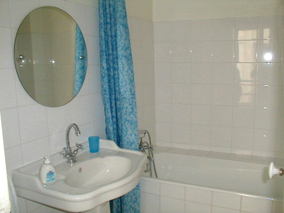 Paris apartment has a bathtub with a full shower